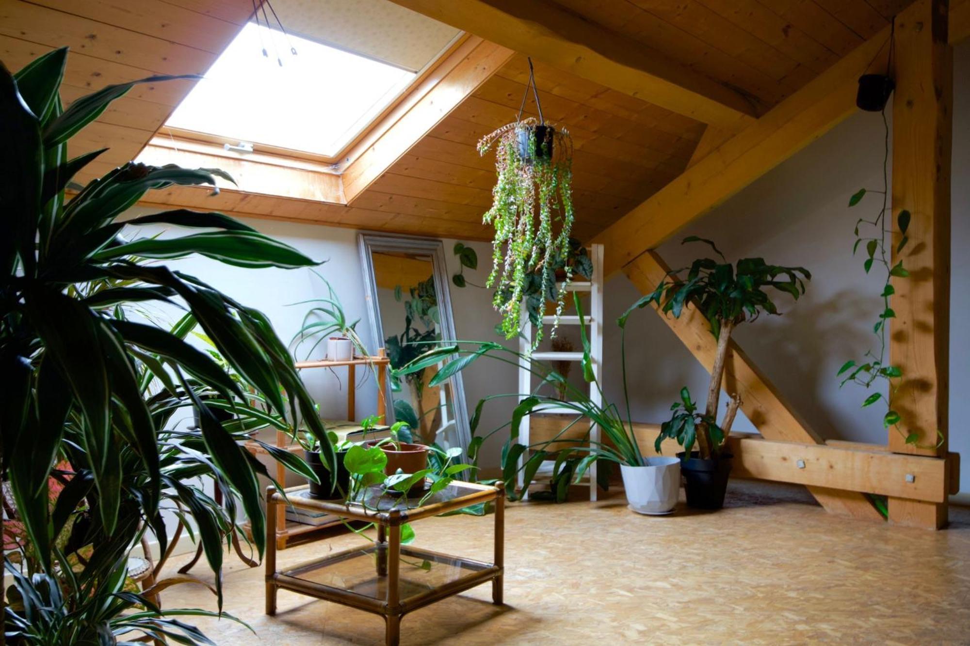 Loft Haut De Gamme Entre Verdure Et Ville Chaudefontaine  Экстерьер фото